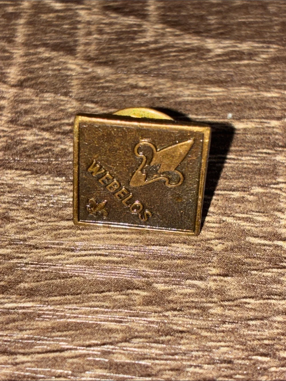 Vintage Bronze Tone Boy Scout Lot of 5 Lapel Pin Set